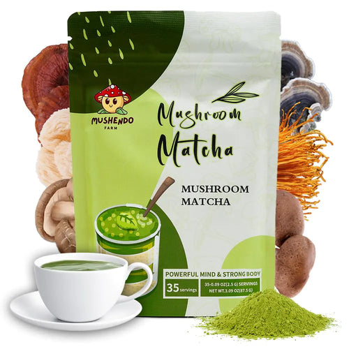Mushendo 6 Mushroom Matcha Blend - 35 Servings - 3.09 oz